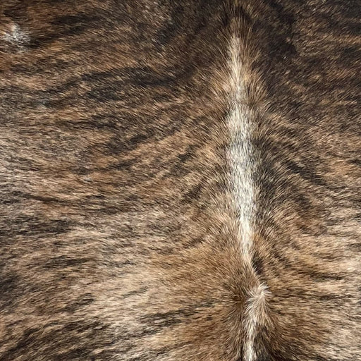 Closeup of this Brazilian Brindle Cowhide, showing light tan and brown, with black, brindle markings, and white down the spine ](BRBR1319)