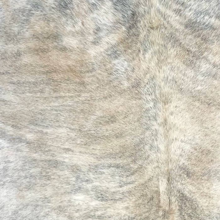 Closeup of this XL Brazilian Light Brindle Cowhide, showing white and light tan with gray, brindle markings (BRBR1333)