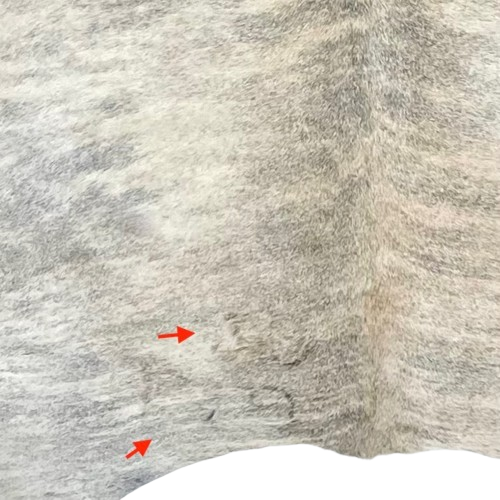 Closeup of this XL White, Lt Tan, Gray Brazilian Light Brindle Cowhide, showing two brand marks on the left side of the butt (BRBR1333)