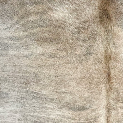 Closeup of this Brazilian Light Brindle Cowhide, showing  ivory and light brown with gray, brindle markings (BRBR1335)