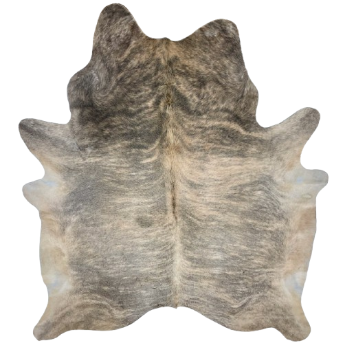 Large Lt Beige, Gray, Black Brazilian Light Brindle Cowhide: light beige with gray, bridle markings, and it has black, brindle markings on the shoulder, and it has long hair down part of the spine and on the belly - 7'8" x 6'3" (BRBR1337)