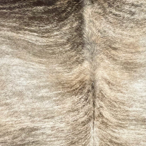 Closeup of this Large Brazilian Light Brindle Cowhide, showing ivory and light beige with brown, brindle markings (BRBR1339)