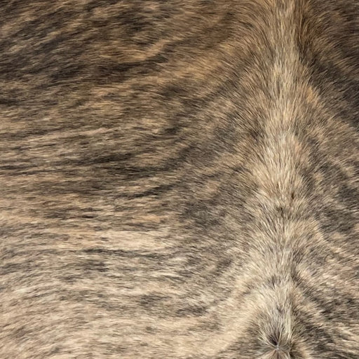 Closeup of this Brazilian Light Brindle Cowhide, showing off-white with brown and black, brindle markings  (BRBR1342)