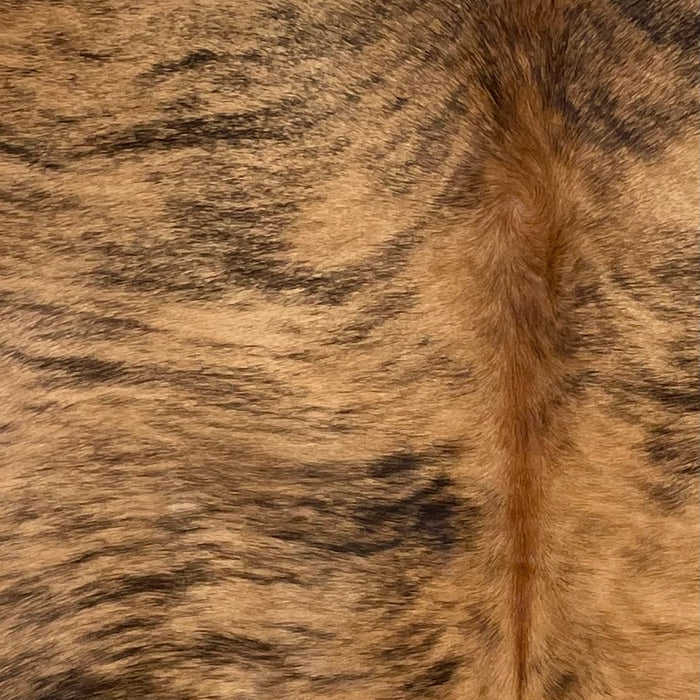 closeup of this Brazilian Brindle Cowhide, showing  light brown with black, brindle markings, and reddish brown down the spine (BRBR1362)