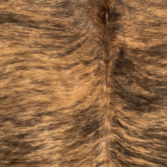 closeup of this Brindle Cowhide, showing brown with black, brindle markings (BRBR1377)