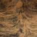 Closeup of this Brazilian Brindle Cowhide, showing brown with black, brindle markings (BRBR1393)