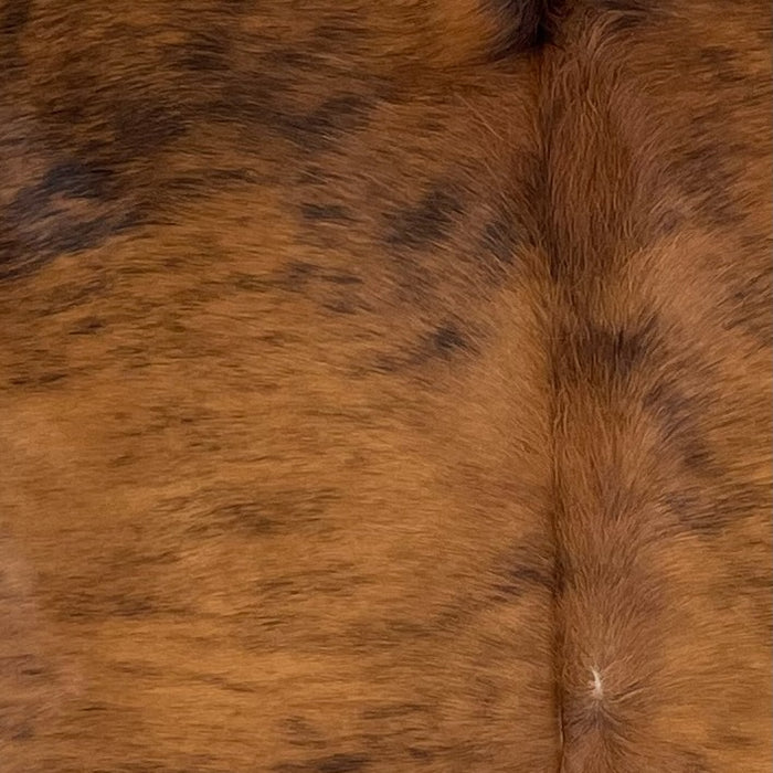 Closeup of this XL Brazilian Brindle Cowhide, showing brown with black, brindle markings (BRBR1439)
