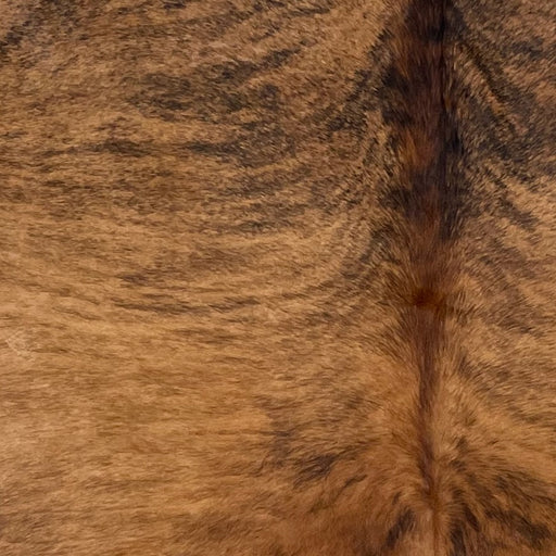 closeup of this Brazilian Brindle Cowhide, showing brown with black, brindle markings (BRBR1479)