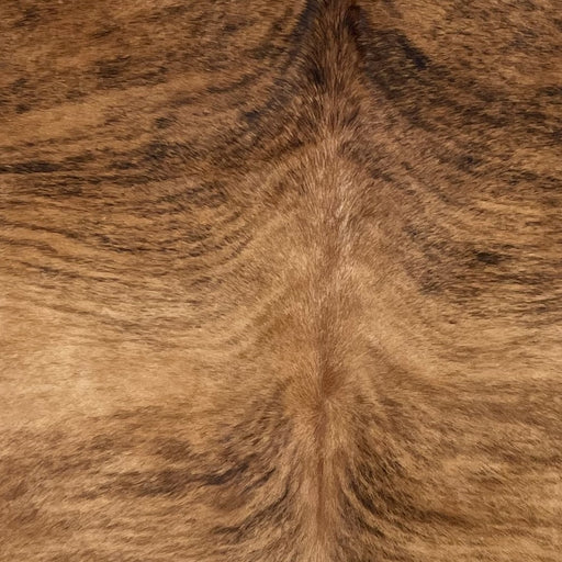 Closeup of this Brazilian Brindle Cowhide, showing brown with black and brown, brindle markings  (BRBR1481)