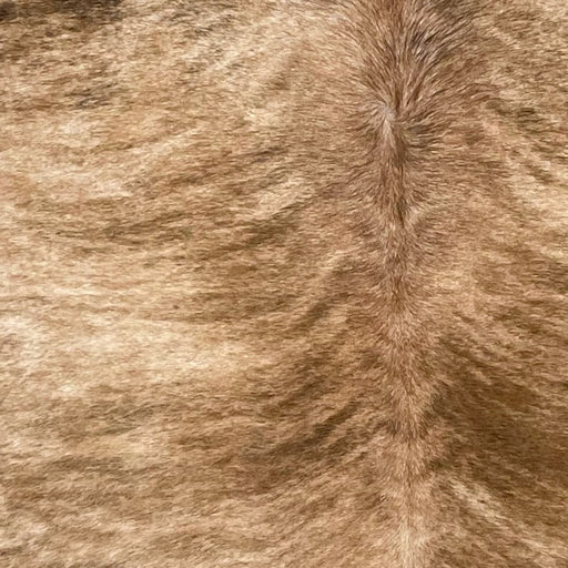 Closeup of this Large Brazilian Brindle Cowhide, showing light tan with brown, brindle markings (BRBR1482)