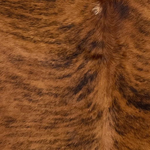 closeup of this Brazilian Brindle Cowhide, showing red brown with black, brindle markings (BRBR1483)