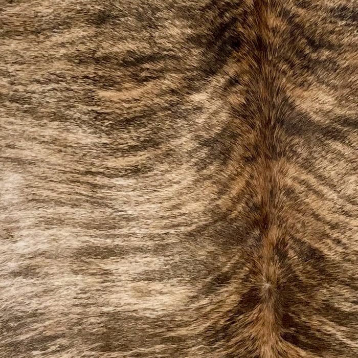 Closeup of this Brazilian Brindle Cowhide, showing light tan and brown with black, brindle markings  (BRBR1485)