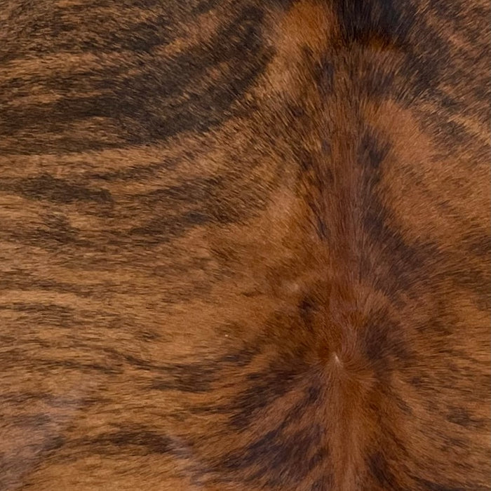 Closeup of this Brazilian Brindle Cowhide, showing  red brown with black, brindle markings  (BRBR1486)