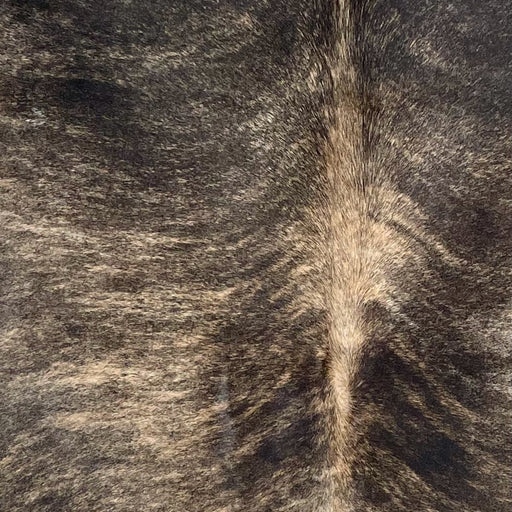 Closeup of this Large Brazilian Brindle Cowhide, showing light brown with black, brindle markings  (BRBR1489)