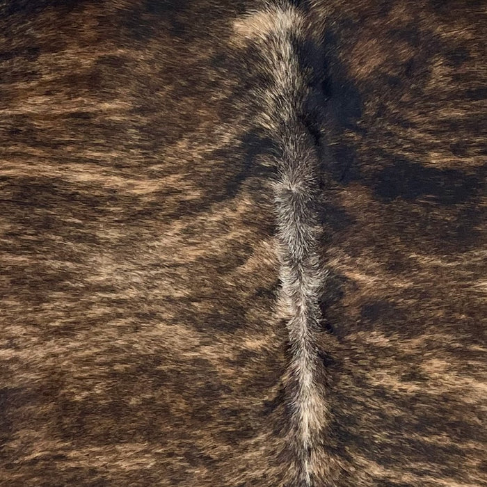 Closeup of this Brazilian Brindle Cowhide, showing black with brown, brindle markings (BRBR1490)