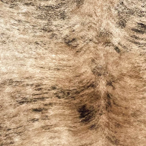 Closeup of this Large Brazilian Brindle Cowhide, showing light brown and off-white with black, brindle markings (BRBR1491)