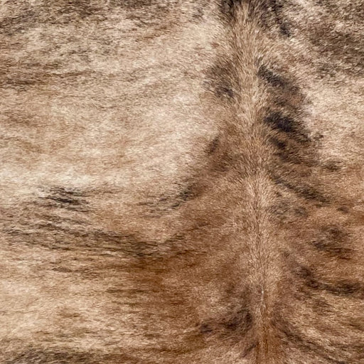 closeup of this Brazilian Brindle Cowhide. showing brown and light tan, with black, brindle markings  (BRBR1495)