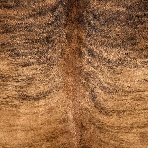 Closeup of this Brazilian Brindle Cowhide, showing brown with black, brindle markings (BRBR1496)