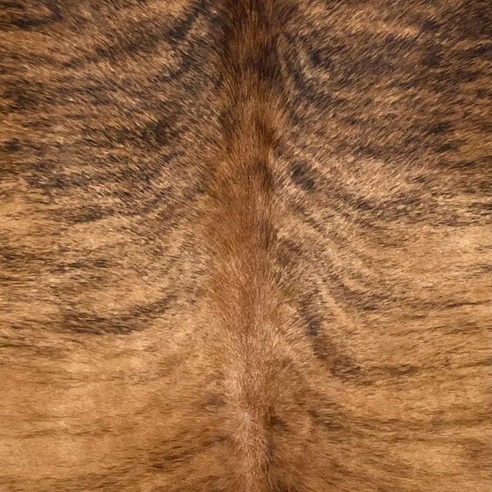 Closeup of this Brazilian Brindle Cowhide, showing brown with black, brindle markings (BRBR1496)