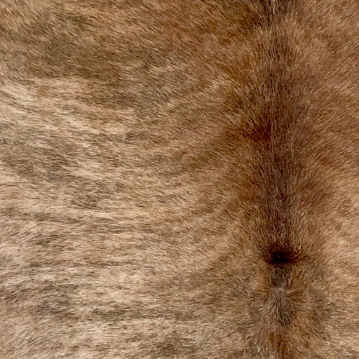 Closeup of this Large Brazilian Brindle Cowhide, showing reddish brown and light brown with black, brindle markings (BRBR1509)