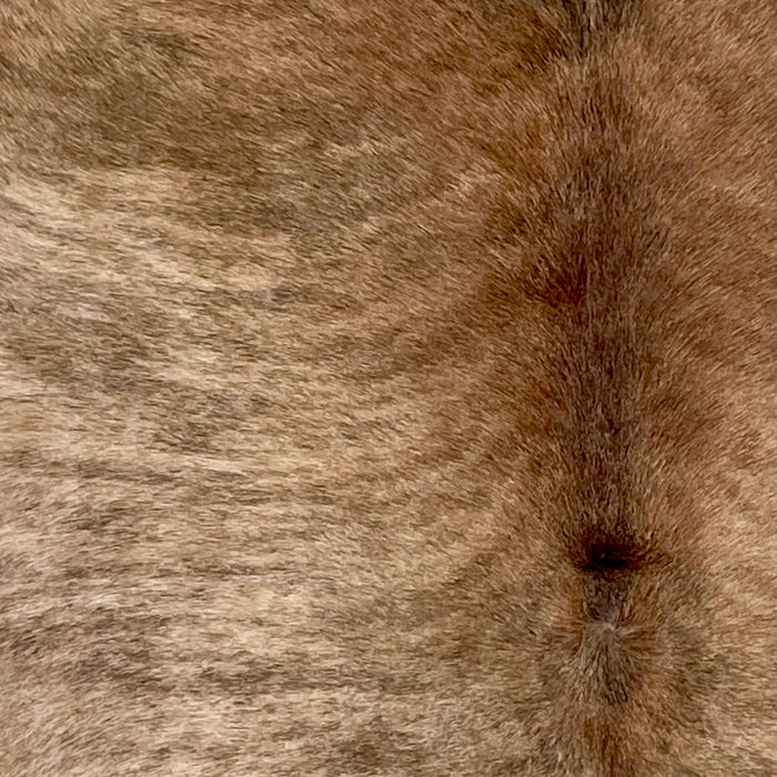 Closeup of this Large Brazilian Brindle Cowhide, showing reddish brown and light brown with black, brindle markings (BRBR1509)