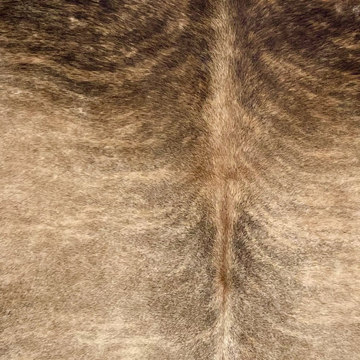 Closeup of this Large Brazilian Brindle Cowhide, showing brown with black, brindle markings (BRBR1512)