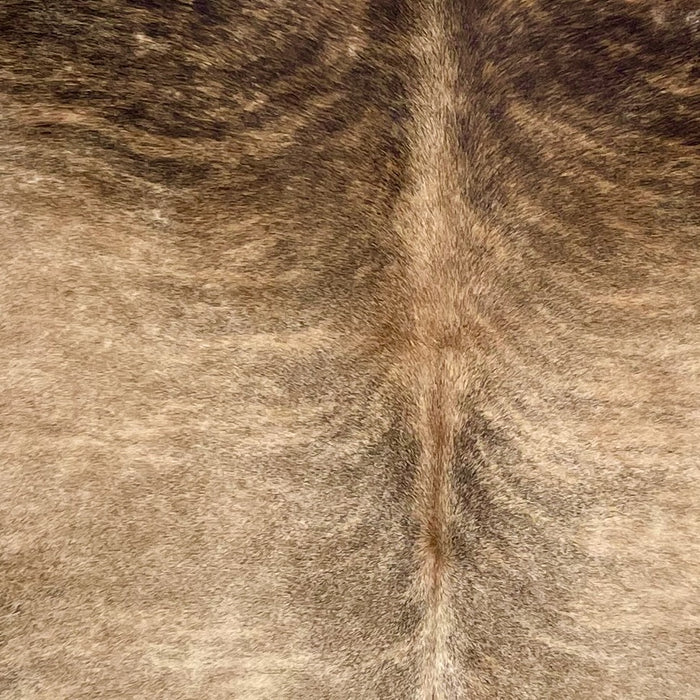 Closeup of this Large Brazilian Brindle Cowhide, showing brown with black, brindle markings (BRBR1512)