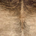 Closeup of this Large Brazilian Brindle Cowhide, showing brown with black, brindle markings (BRBR1512)