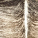 Closeup of this Brazilian Brindle Cowhide:, showing ivory and brown with a black and brown, brindle pattern, and white down the spine  (BRBR1517)