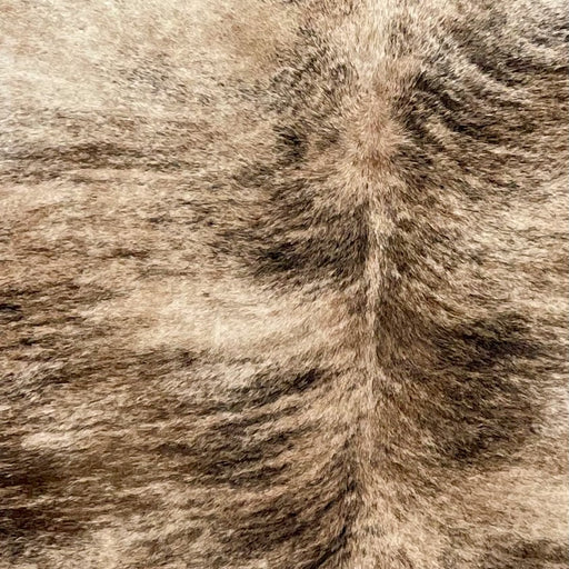 Closeup of this Brazilian Brindle Cowhide, showing brown and ivory with black and brown, brindle markings (BRBR1518)