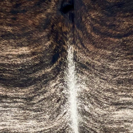  closeup of this XXL Brazilian Brindle Cowhide, showing off-white and brown with black, brindle markings (BRBR1532)