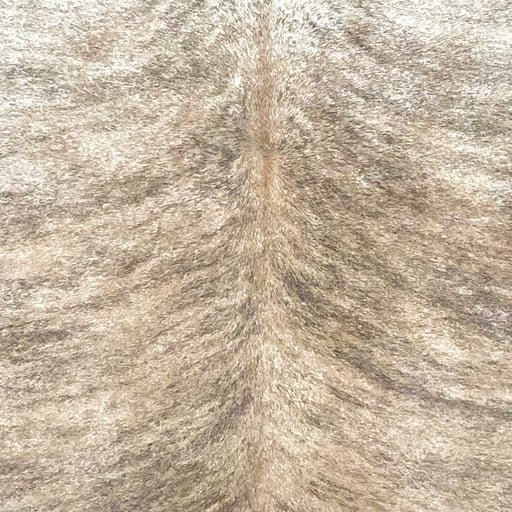 Closeup of this Brazilian Brindle Cowhide, showing light tan with black, brindle markings  (BRBR1536)