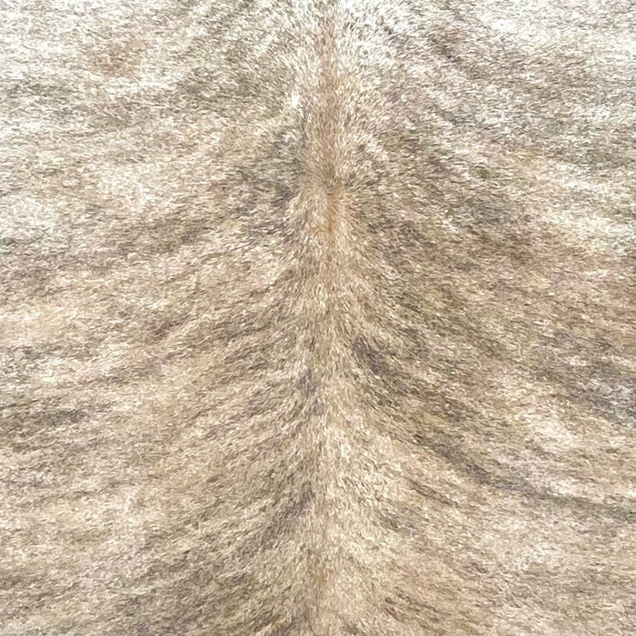 Closeup of this Brazilian Brindle Cowhide, showing light tan with black, brindle markings  (BRBR1536)