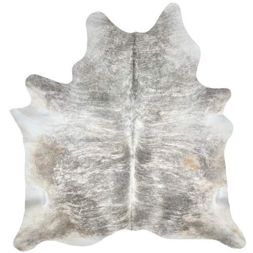Gray and White Brazilian Brindle Cowhide: white with gray, brindle markings, and two light brown spots - 7' x 5'10" (BRBR1538)