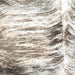 Closeup of this Large Multicolored Brazilian Brindle Cowhide, showing ivory and tan with brown, taupe, and black, brindle markings (BRBR1542)