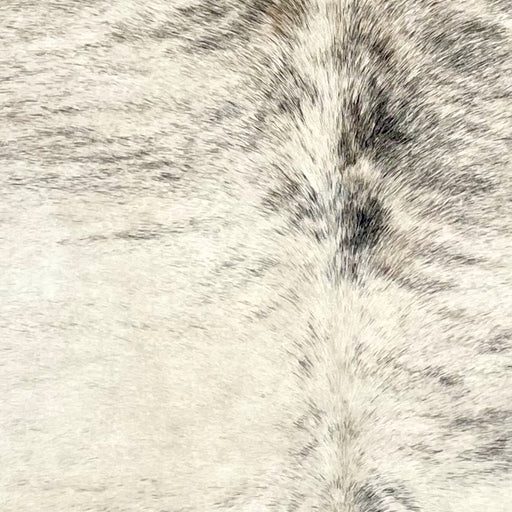 Closeup of this Brazilian Brindle Cowhide, showing ivory with a black and gray, brindle pattern  (BRBR1543)