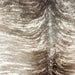 Closeup of this Brazilian Brindle Cowhide, showing white with brown and taupe, brindle markings (BRBR1548)