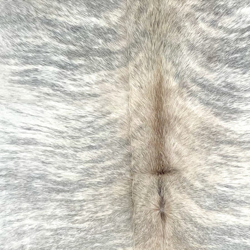 Closeup of this Brazilian Brindle Cowhide, showing white with gray, brindle markings, light brown down part of the spine (BRBR1549)