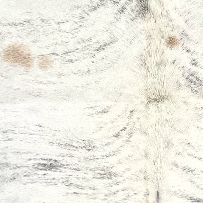 Closeup of this Brazilian Brindle Cowhide, showing ivory with gray, brindle markings, and a few small, light brown spots  (BRBR1551)