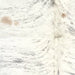 Closeup of this Brazilian Brindle Cowhide, showing ivory with gray, brindle markings, and a few small, light brown spots  (BRBR1551)