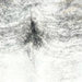 closeup of this Brazilian Brindle Cowhide, showing ivory with gray, brindle markings (BRBR1554)
