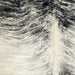 Closeup of this Brazilian Brindle Cowhide, showing ivory with black, brindle markings  (BRBR1555)