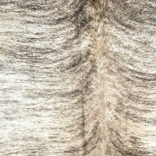 Closeup of this Brazilian Brindle Cowhide, showing off-white and light brown with a black and brown, brindle pattern  (BRBR1556)