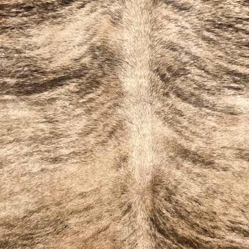 Closeup of this Brazilian Brindle Cowhide, showing light tan and brown with black and brown, brindle markings (BRBR1572)