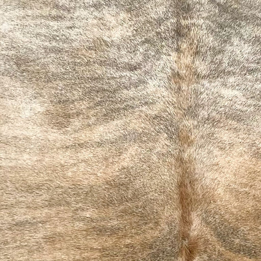 Closeup of this Brazilian Brindle Cowhide, showing light beige and reddish brown with black, brindle markings (BRBR1573)