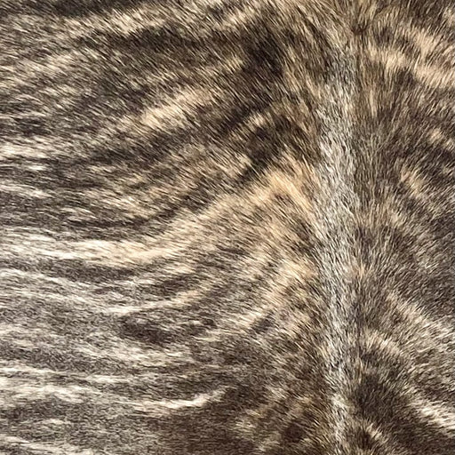 Closeup of this Large Brazilian Brindle Cowhide, showing ivory and brown with black, brindle markings (BRBR1574)