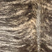 Closeup of this Large Brazilian Brindle Cowhide, showing ivory and brown with black, brindle markings (BRBR1574)