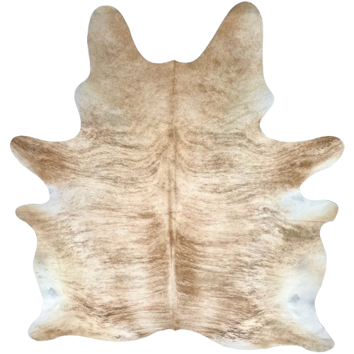Large Ivory, Caramel, Brown Brazilian Brindle Cowhide: Ivory and caramel with brown, brindle markings  7'9" x 5'11" (BRBR1575)