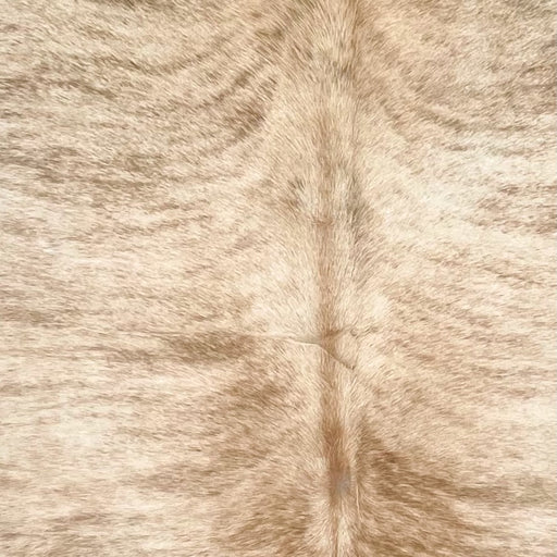 Closeup of this Large Brazilian Brindle Cowhide, showing Ivory and caramel with brown, brindle markings (BRBR1575)