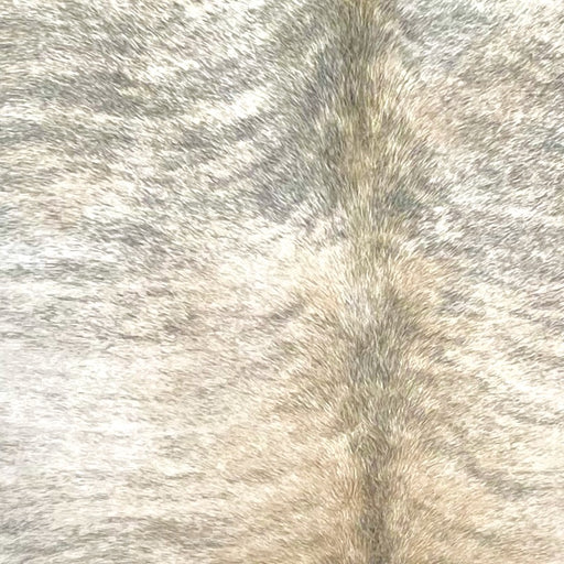 Closeup of this XL Brazilian Brindle Cowhide, showing ivory and light brown with gray, brindle markings (BRBR1576)